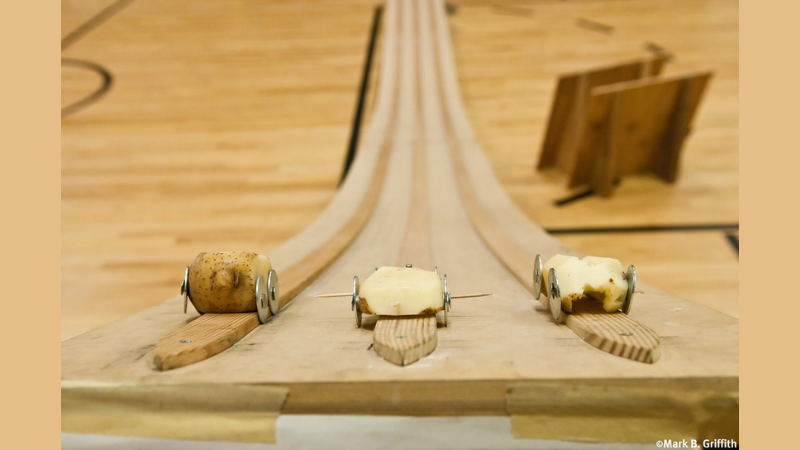 Potato Derby Website three potato derby cars lined up at the opt of a ramp