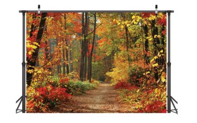 Photo Backdrop Autumn Scene